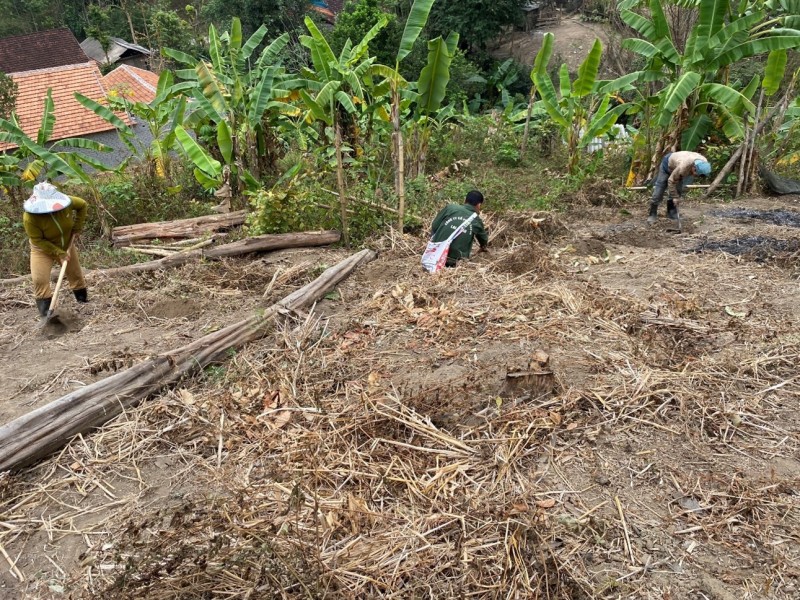 GEF tạo thu nhập bền vững cho người dân miền Tây Nghệ An GEF tạo thu nhập bền vững cho người dân miền Tây Nghệ An