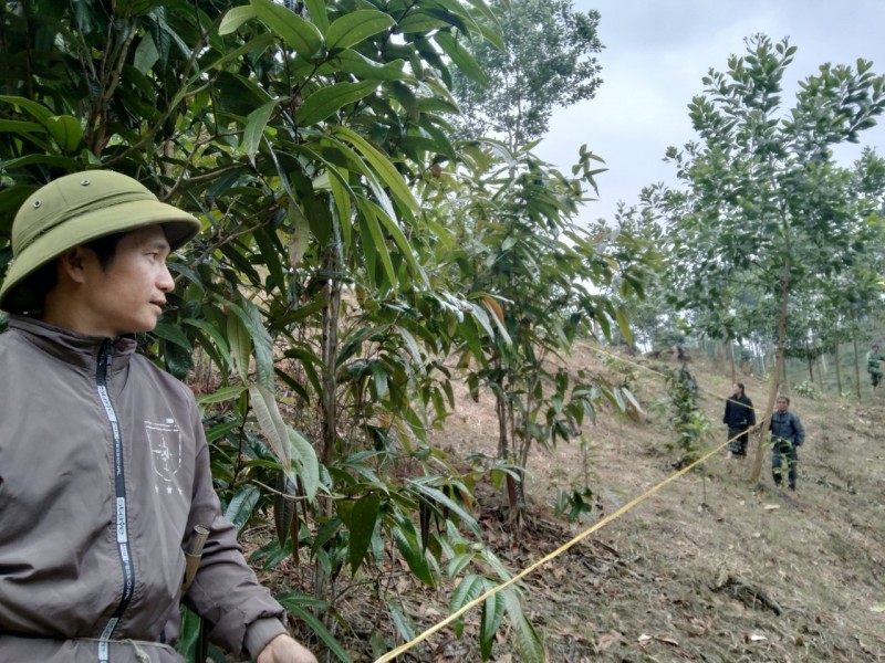 GEF tạo thu nhập bền vững cho người dân miền Tây Nghệ An GEF tạo thu nhập bền vững cho người dân miền Tây Nghệ An