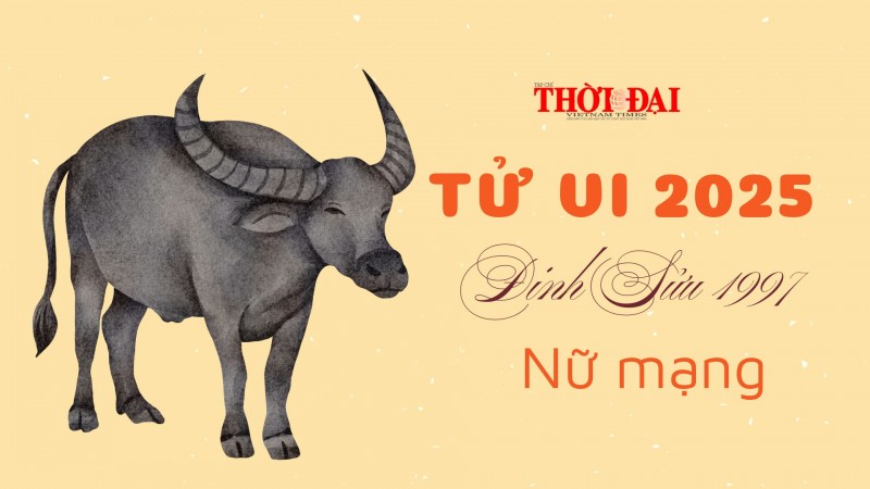 Tử vi năm 2025 tuổi Đinh Sửu 1997 nữ mạng: Đối mặt với nhiều thử thách Tử vi năm 2025 tuổi Đinh Sửu 1997 nữ mạng: Đối mặt với nhiều thử thách