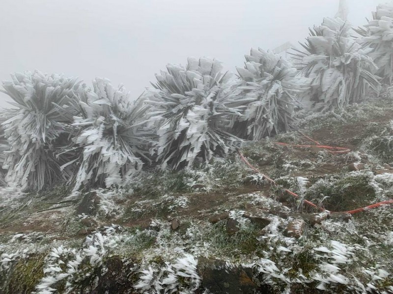 Thời tiết hôm nay (13/12): Không khí lạnh tăng cường miền Bắc nhiệt độ nhiều nơi giảm sâu Thời tiết hôm nay (13/12): Không khí lạnh tăng cường miền Bắc nhiệt độ nhiều nơi giảm sâu
