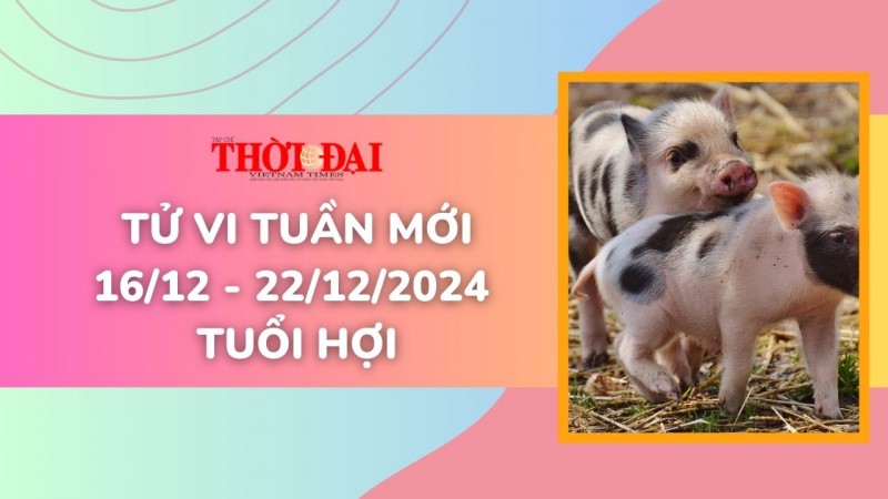 Tử vi tuần mới 16/12 đến 22/12/2024 tuổi Hợi: Hàng loạt cơ hội mới mở ra Tử vi tuần mới 16/12 đến 22/12/2024 tuổi Hợi: Hàng loạt cơ hội mới mở ra