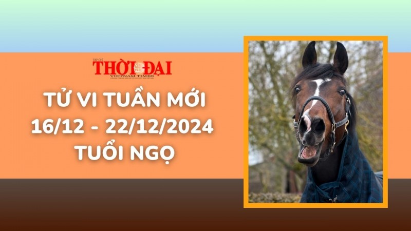 Tử vi tuần mới 16/12 đến 22/12/2024 tuổi Ngọ: Đón nhận nhiều bước tiến vô cùng tích cực Tử vi tuần mới 16/12 đến 22/12/2024 tuổi Ngọ: Đón nhận nhiều bước tiến vô cùng tích cực