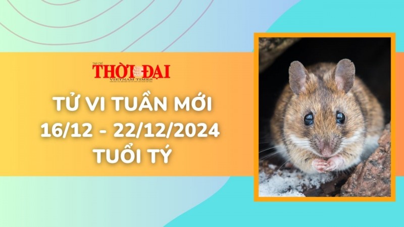 Tử vi tuần mới 16/12 đến 22/12/2024 tuổi Tý: Tình duyên, công danh tài lộc Tử vi tuần mới 16/12 đến 22/12/2024 tuổi Tý: Tình duyên, công danh tài lộc