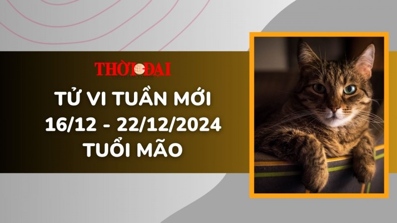 Tử vi tuần mới 16/12 đến 22/12/2024 tuổi Mão: Một tuần đầy khởi sắc Tử vi tuần mới 16/12 đến 22/12/2024 tuổi Mão: Một tuần đầy khởi sắc