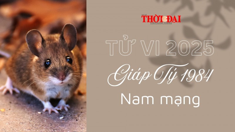 Tử vi năm 2025 tuổi Giáp Tý 1984 nam mạng: Nhiều cơ hội và thách thức Tử vi năm 2025 tuổi Giáp Tý 1984 nam mạng: Nhiều cơ hội và thách thức