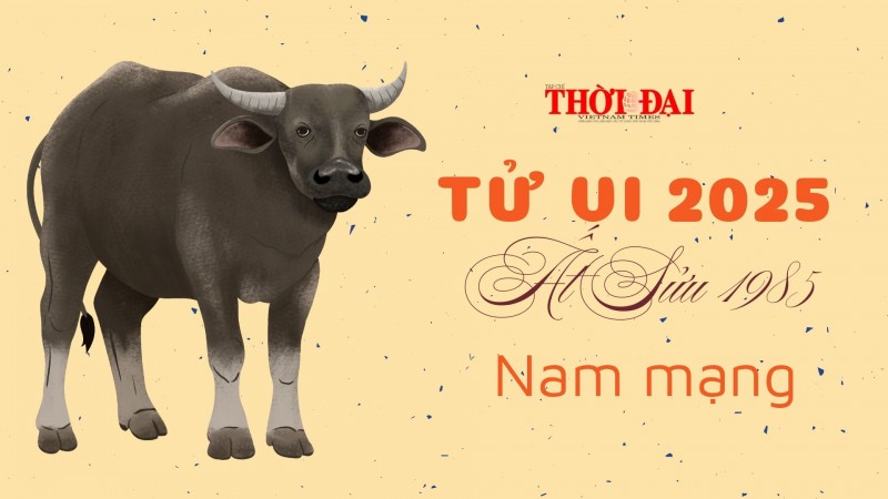 Tử vi năm 2025 tuổi Ất Sửu 1985 nam mạng: Đối diện với nhiều thay đổi Tử vi năm 2025 tuổi Ất Sửu 1985 nam mạng: Đối diện với nhiều thay đổi