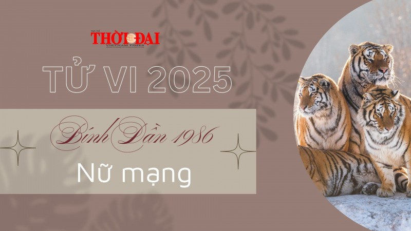 Tử vi năm 2025 tuổi Bính Dần 1986 nữ mạng: Nhiều cơ hội thăng tiến trong sự nghiệp Tử vi năm 2025 tuổi Bính Dần 1986 nữ mạng: Nhiều cơ hội thăng tiến trong sự nghiệp