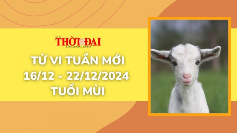 Tử vi tuần mới 16/12 đến 22/12/2024 tuổi Mùi: Tình duyên, công danh tài lộc Tử vi tuần mới 16/12 đến 22/12/2024 tuổi Mùi: Tình duyên, công danh tài lộc