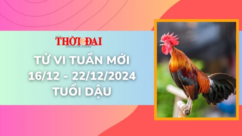 Tử vi tuần mới 16/12 đến 22/12/2024 tuổi Dậu: Tình duyên, công danh tài lộc Tử vi tuần mới 16/12 đến 22/12/2024 tuổi Dậu: Tình duyên, công danh tài lộc