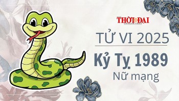 Tử vi năm 2025 tuổi Kỷ Tỵ 1989 nữ mạng: Năm vất vả, lận đận nhiều bề