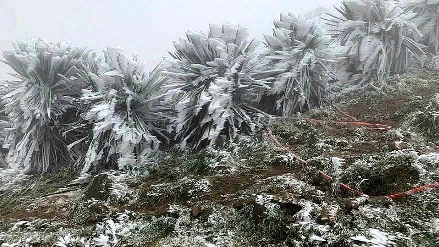 More strong cold spells are expected to hit the northern region of Vietnam in the coming two months, causing freezing conditions in mountainous localities. More strong cold spells are expected to hit the northern region of Vietnam in the coming two months, causing freezing conditions in mountainous localities.