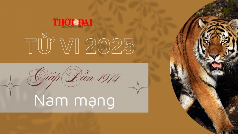 Tử vi năm 2025 tuổi Giáp Dần 1974 nam mạng: Có nhiều cơ hội phát triển nhưng cũng đầy thách thức Tử vi năm 2025 tuổi Giáp Dần 1974 nam mạng: Có nhiều cơ hội phát triển nhưng cũng đầy thách thức