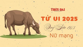 Tử vi năm 2025 tuổi Quý Sửu 1973 nữ mạng: Ổn định, nhiều cơ may trong công việc