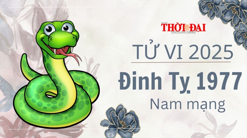 Tử vi năm 2025 tuổi Đinh Tỵ 1977 nam mạng: Khó khăn, hao tốn tiền bạc Tử vi năm 2025 tuổi Đinh Tỵ 1977 nam mạng: Khó khăn, hao tốn tiền bạc