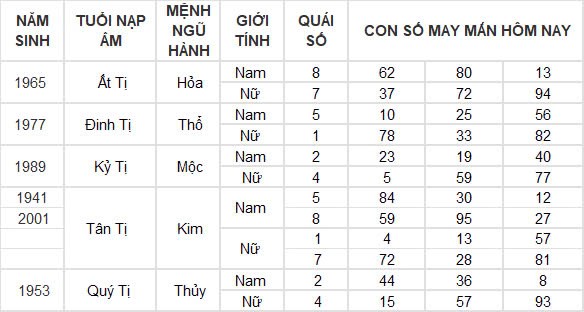 Con số may mắn hôm nay 29/12/2024 12 con giáp: Hợi cát tinh soi đường dẫn lối