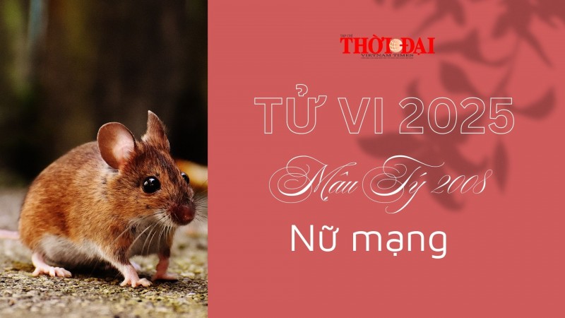 Tử vi năm 2025 tuổi Mậu Tý 2008 nữ mạng: Bình ổn, có thêm chút may mắn về tiền tài Tử vi năm 2025 tuổi Mậu Tý 2008 nữ mạng: Bình ổn, có thêm chút may mắn về tiền tài