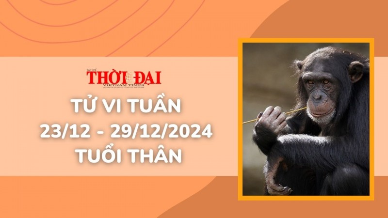 Tử vi tuần mới 23/12 đến 29/12/2024 tuổi Thân: Tình duyên, công danh tài lộc Tử vi tuần mới 23/12 đến 29/12/2024 tuổi Thân: Tình duyên, công danh tài lộc