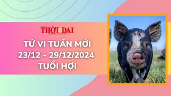 Tử vi tuần mới 23/12 đến 29/12/2024 tuổi Hợi: Tình duyên, công danh tài lộc