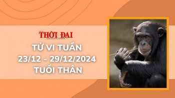 Tử vi tuần mới 23/12 đến 29/12/2024 tuổi Thân: Tình duyên, công danh tài lộc