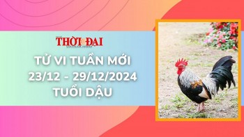 Tử vi tuần mới 23/12 đến 29/12/2024 tuổi Dậu: Tình duyên, công danh tài lộc
