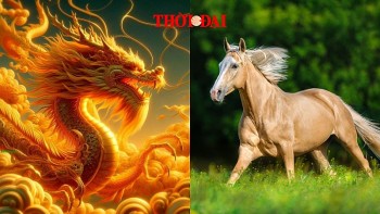 Top con giáp may mắn hôm nay 25/12/2024: Ngọ quý nhân nâng đỡ Thìn sự nghiệp thăng hoa
