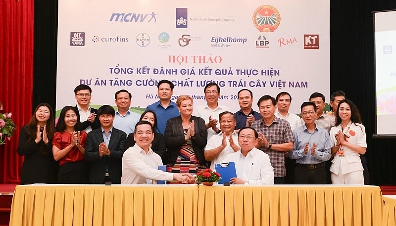 Netherlands Supports Farmers in Four Provinces to Enhance Fruit Quality Netherlands Supports Farmers in Four Provinces to Enhance Fruit Quality