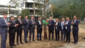 Hơn 150 đại biểu quốc tế trồng cây hữu nghị ở Đà Nẵng