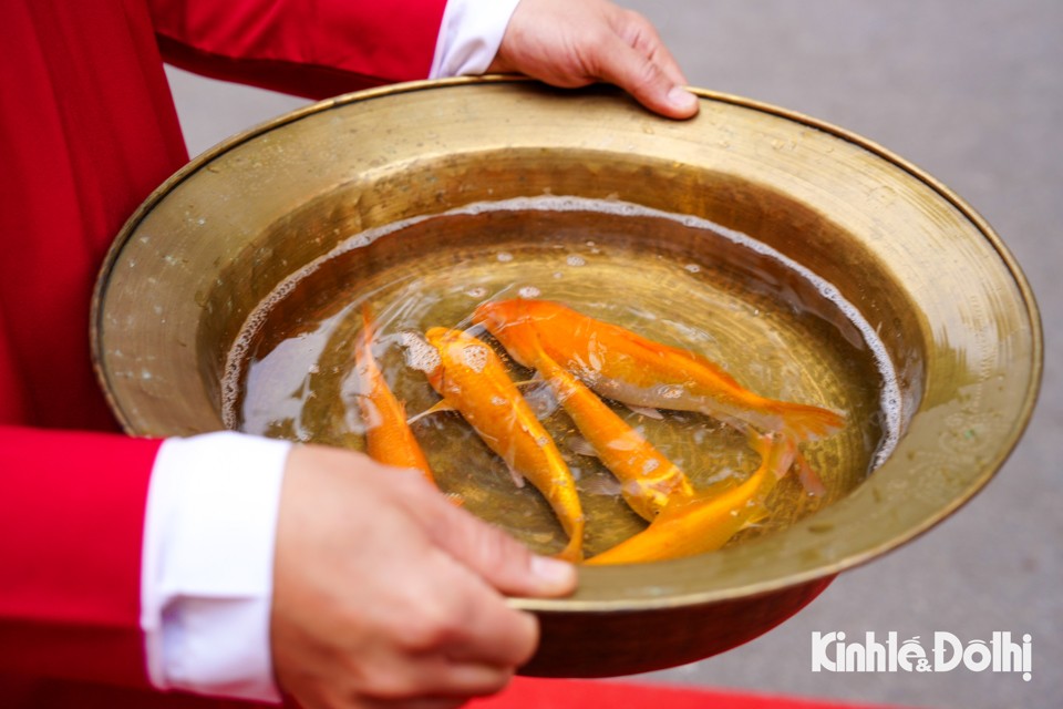 Nghi lễ thả cá chép vào ngày ông Công ông Táo là một phong tục truyền thống của người Việt Nam, thể hiện lòng thành kính với các Táo quân.