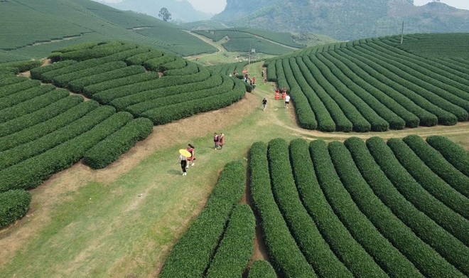 10 địa điểm du Xuân miền Bắc mang lại trải nghiệm tuyệt vời dịp Tết 10 địa điểm du Xuân miền Bắc mang lại trải nghiệm tuyệt vời dịp Tết