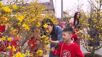 Thời tiết hôm nay (31/1): Nền nhiệt miền Bắc tăng nhẹ