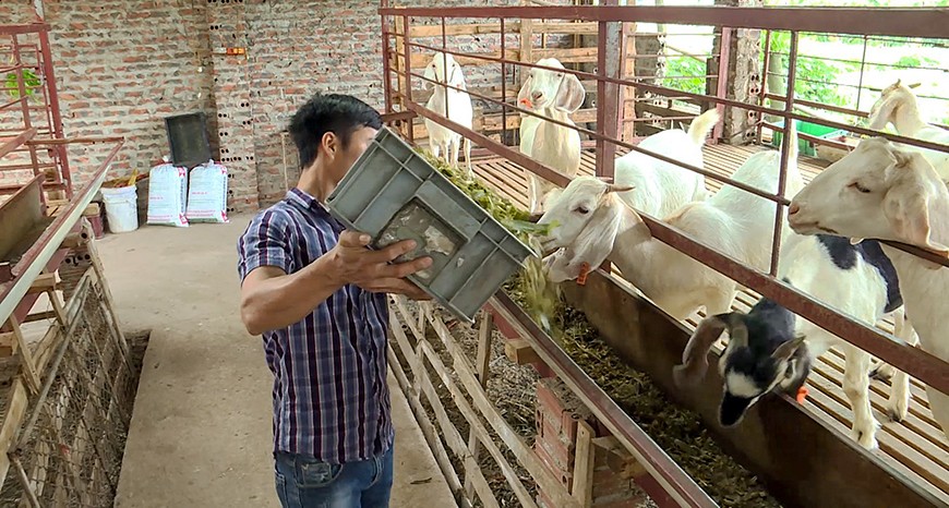góp phần hỗ trợ người chấp hành xong án phạt tù tái hòa nhập cộng đồng, giúp họ ổn định cuộc sống, thúc đẩy phát triển kinh tế - xã hội, giữ vững, ổn định trật tự, an toàn xã hội tại các địa phương. góp phần hỗ trợ người chấp hành xong án phạt tù tái hòa nhập cộng đồng, giúp họ ổn định cuộc sống, thúc đẩy phát triển kinh tế - xã hội, giữ vững, ổn định trật tự, an toàn xã hội tại các địa phương.