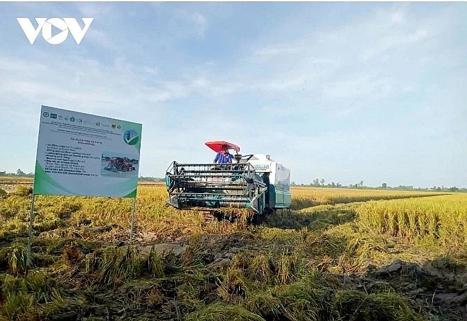 Sustainable and climate-adaptive agricultural development in the Mekong Delta region to improve farmers' income. Sustainable and climate-adaptive agricultural development in the Mekong Delta region to improve farmers' income.