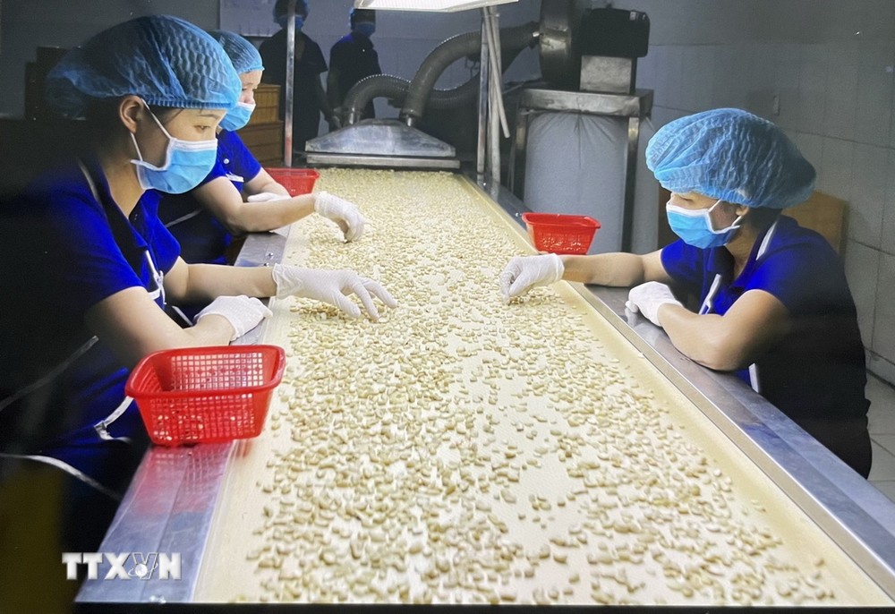 undefined Tăng cường quan hệ hữu nghị truyền thống và hợp tác Việt Nam-Kyrgyzstan