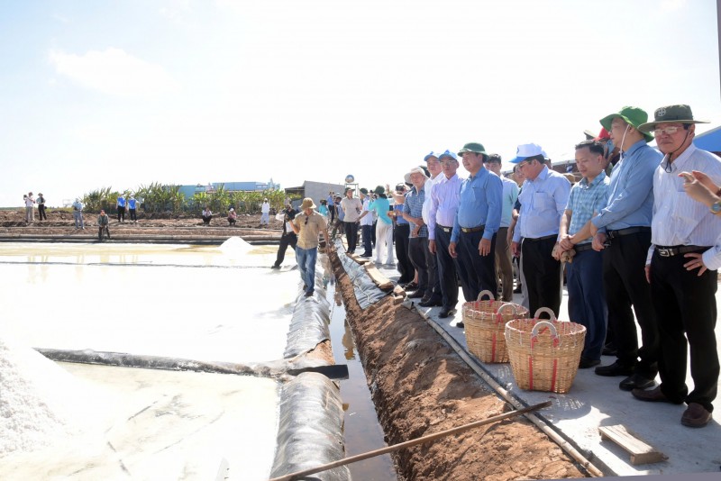 Lan tỏa “Hành trình 100 năm nghề muối - Đời người” tại Bạc Liêu Lan tỏa “Hành trình 100 năm nghề muối - Đời người” tại Bạc Liêu