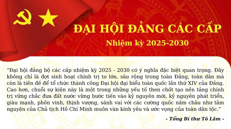 dai hoi dang cac cap nhiem ky 2025 2030