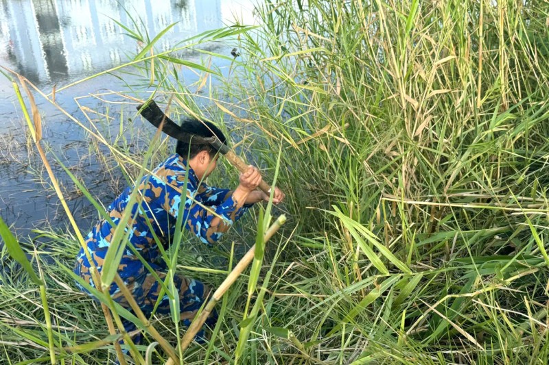Vùng 5 Hải quân tổ chức “Ngày thứ 7 tình nguyện” Vùng 5 Hải quân tổ chức “Ngày thứ 7 tình nguyện”