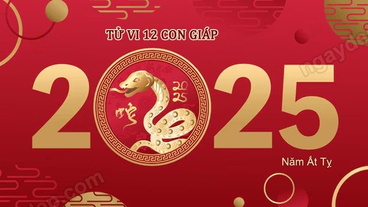 Tử vi ngày 19/3/2025: Sửu may mắn, Dần tài lộc vượng phát