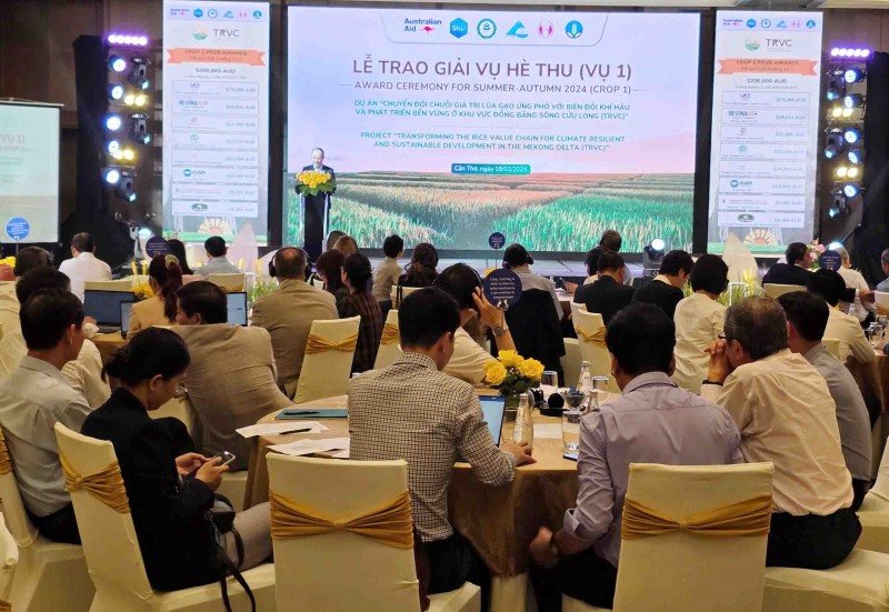 Dự án TRVC trao thưởng cho 8 doanh nghiệp tham gia chuỗi giá trị lúa gạo bền vững tại ĐBSCL Dự án TRVC trao thưởng cho 8 doanh nghiệp tham gia chuỗi giá trị lúa gạo bền vững tại ĐBSCL