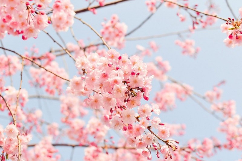 12 cung hoàng đạo ngày 29/3/2025 cần lưu ý những gì? 12 cung hoàng đạo ngày 29/3/2025 cần lưu ý những gì?