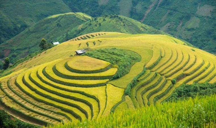 Giỗ tổ Hùng Vương 2025: Top 5 điểm đến lý tưởng cho chuyến đi ngắn ngày tại miền Bắc Giỗ tổ Hùng Vương 2025: Top 5 điểm đến lý tưởng cho chuyến đi ngắn ngày tại miền Bắc