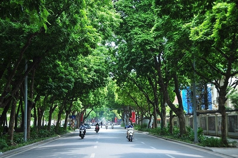 Thời tiết hôm nay (5/4): Miền Bắc đón không khí lạnh tăng cường Thời tiết hôm nay (5/4): Miền Bắc đón không khí lạnh tăng cường