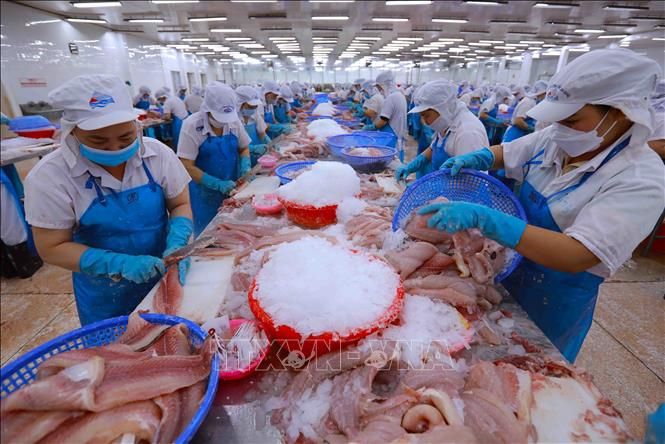 Tăng tốc đưa xuất khẩu nông - lâm - thủy sản đạt 65 tỷ USD Tăng tốc đưa xuất khẩu nông - lâm - thủy sản đạt 65 tỷ USD