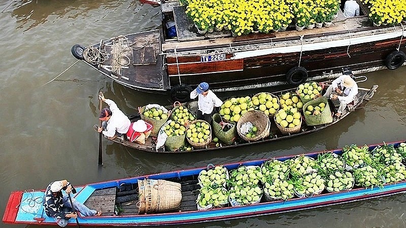 Fruit trading activities in the riverine orchards of the Southern region of Vietnam always attract tourists. (Photo: Ngoc Mai) Fruit trading activities in the riverine orchards of the Southern region of Vietnam always attract tourists. (Photo: Ngoc Mai)