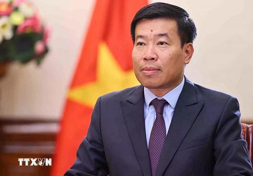 Vietnamese Deputy Minister of Foreign Affairs Nguyen Manh Cuong (Photo: VNA) Vietnamese Deputy Minister of Foreign Affairs Nguyen Manh Cuong (Photo: VNA)