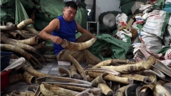 Hà Nội: Thành lập cụm công nghiệp làng nghề vốn đầu tư trên 500 tỷ đồng