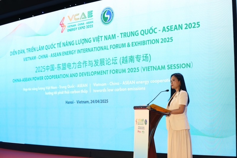 Ảnh 3: Bà Nguyễn Thị Thanh Bình, Phó Tổng Giám đốc Tập đoàn T&T Group, Chủ tịch T&T Energy, Phó Chủ tịch Hiệp hội Năng lượng Việt Nam phát biểu tại Diễn đàn