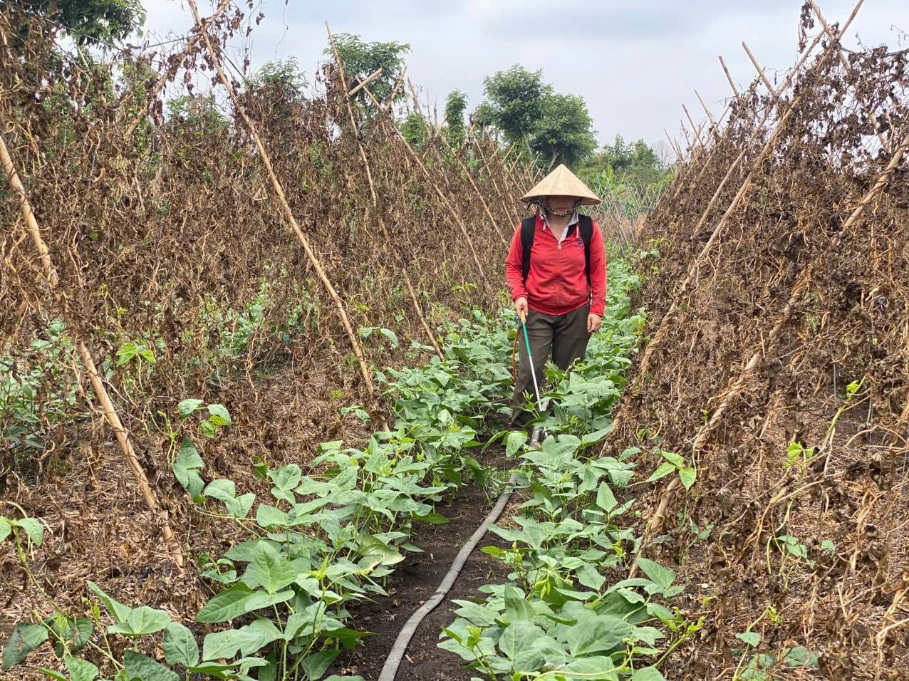 She Feeds the World: 8,000 Individuals Adopt More Sustainable Agricultural Practices She Feeds the World: 8,000 Individuals Adopt More Sustainable Agricultural Practices