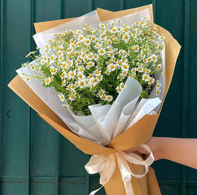 Những điều cần lưu ý khi đi du lịch Pháp Những điều cần lưu ý khi đi du lịch Pháp