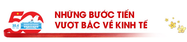 50 năm đất nước nở hoa 50 năm đất nước nở hoa