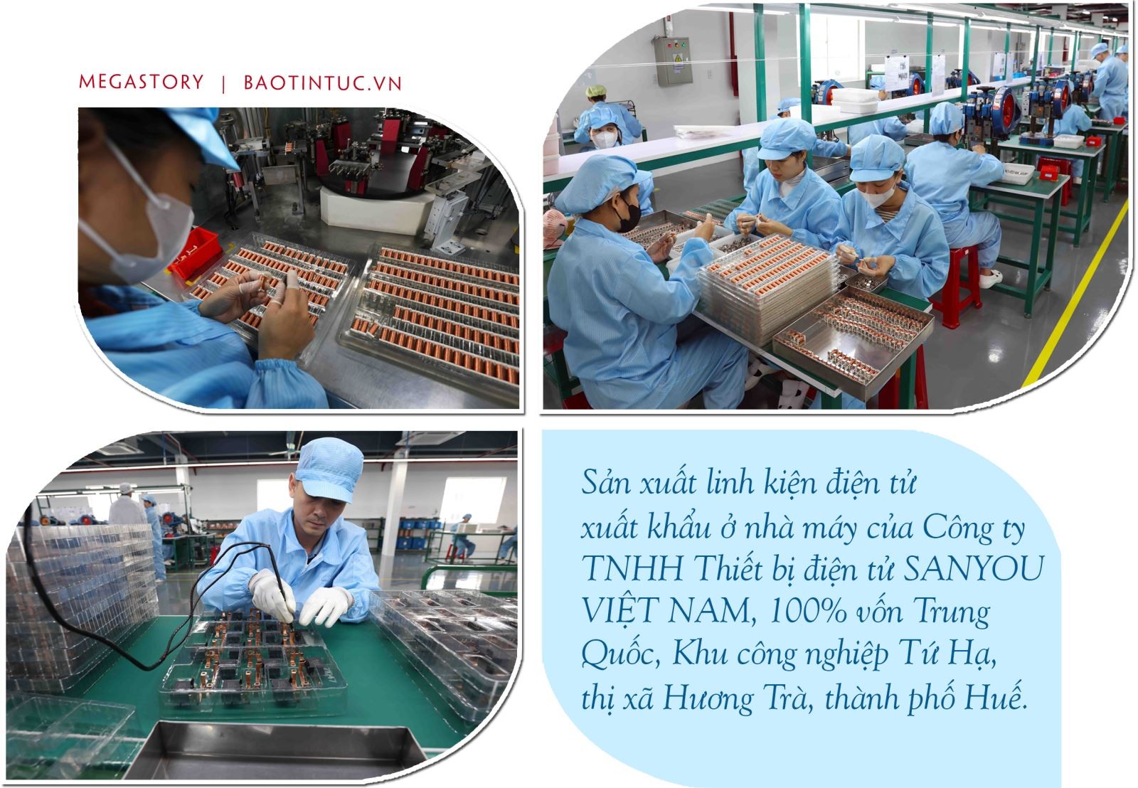 50 năm đất nước nở hoa 50 năm đất nước nở hoa